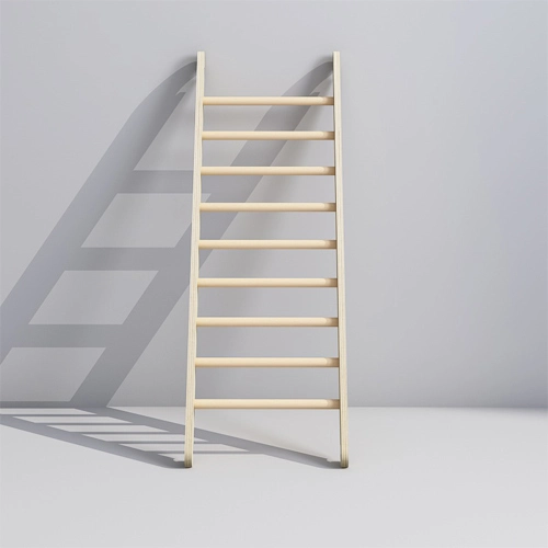 Kids Wooden Ladder for Climbing Frames
