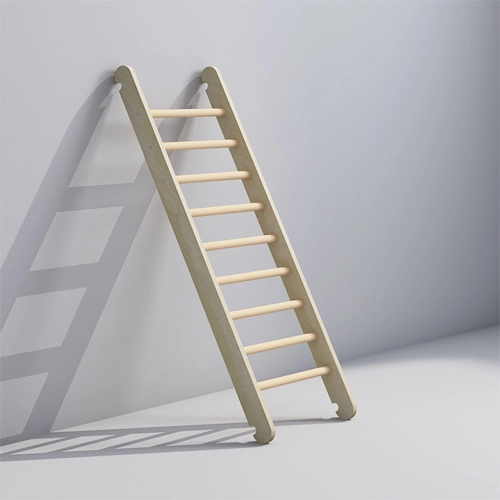 Kids Wooden Ladder for Climbing Frames