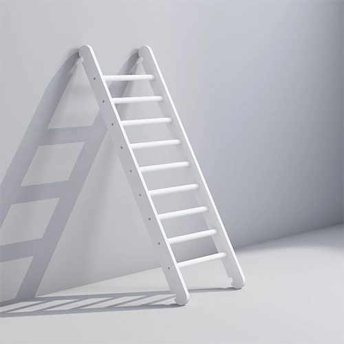 Kids Wooden Ladder for Climbing Frames