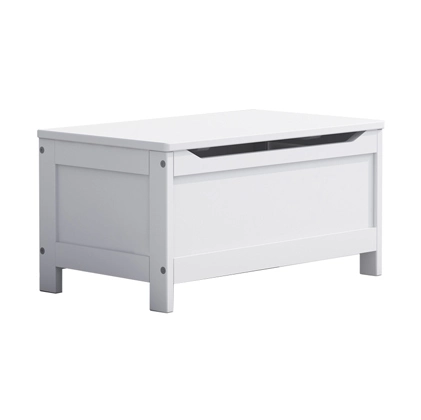 Child Storage Bench and Kids Toy Box with Safety Hinge